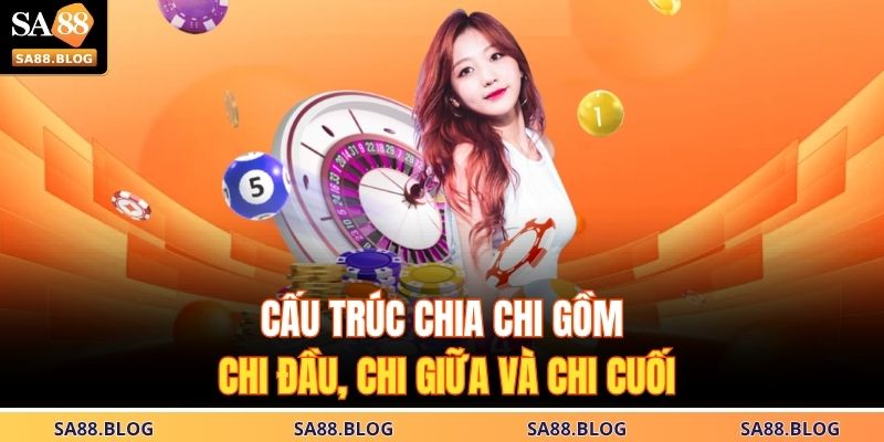 Cấu trúc chia chi gồm chi đầu, chi giữa và chi cuối