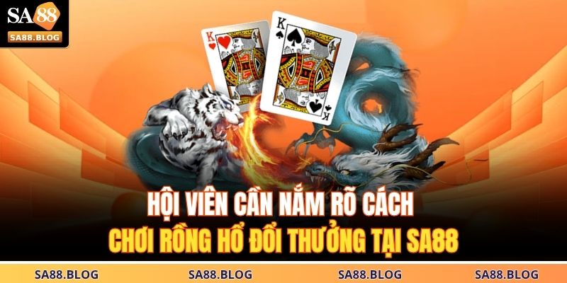Hội viên cần nắm rõ cách chơi Rồng Hổ đổi thưởng tại SA88